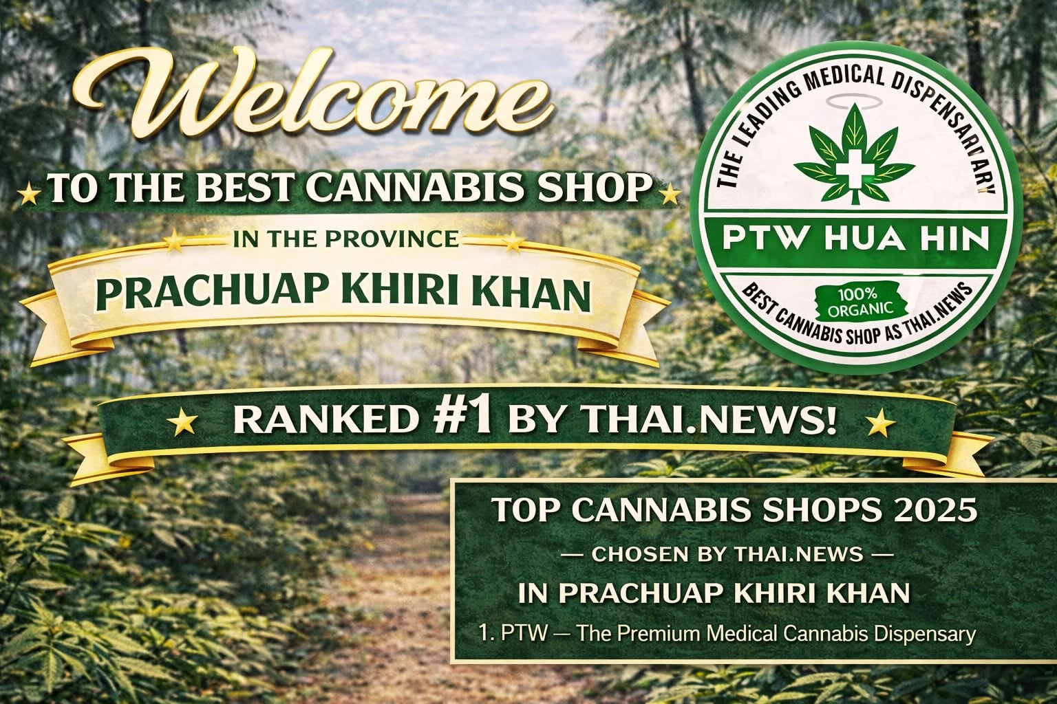 PTW - The Premium Medical