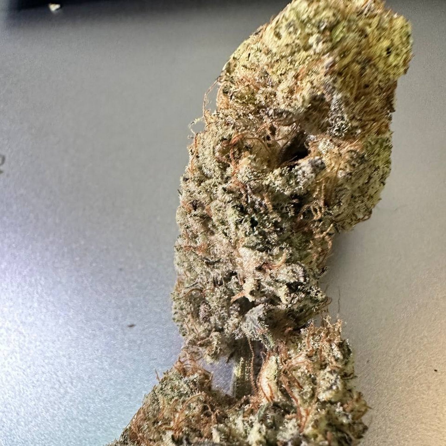 Mr.weed Seed