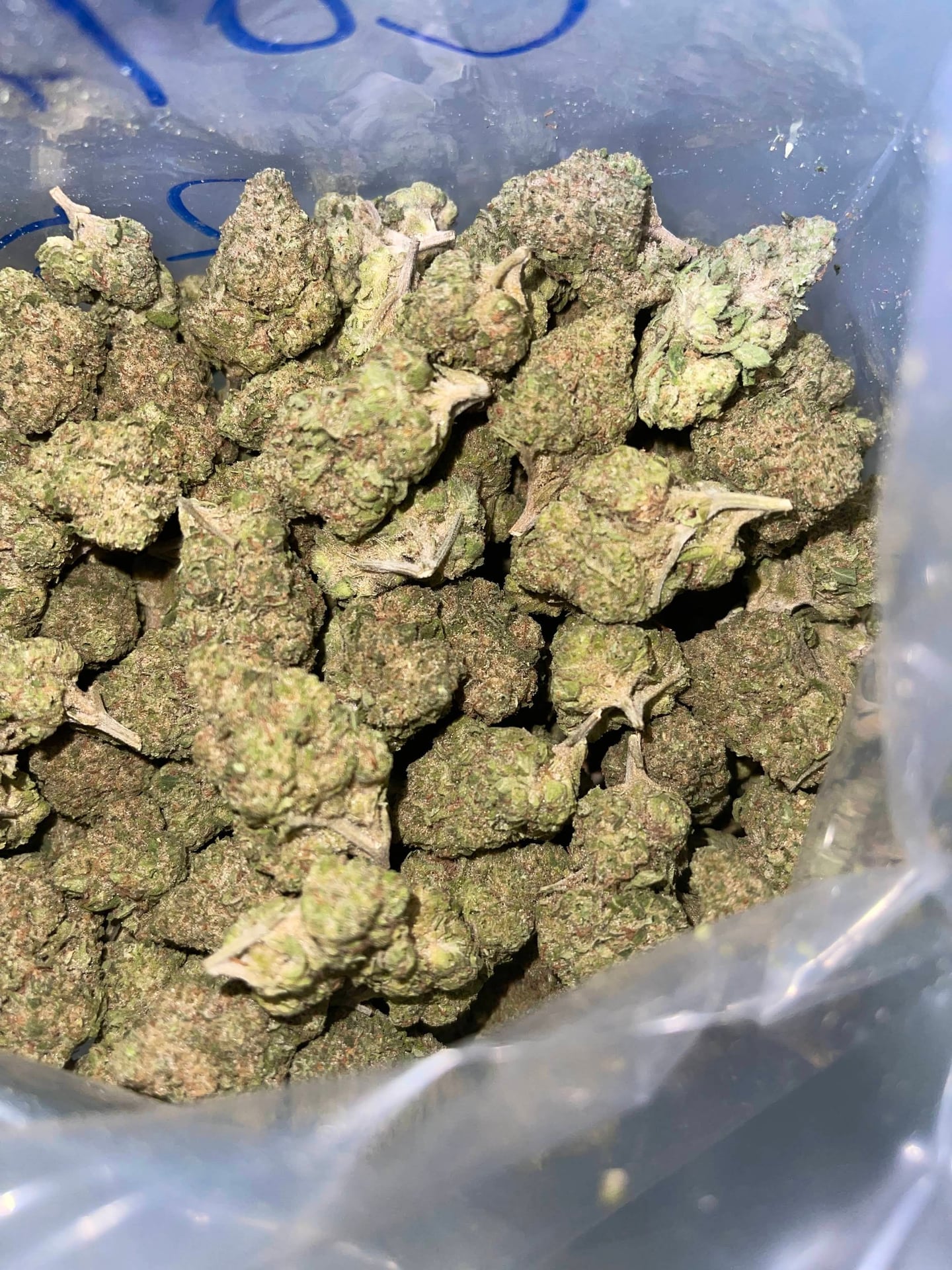 O.G 420 Ganja Cannabis