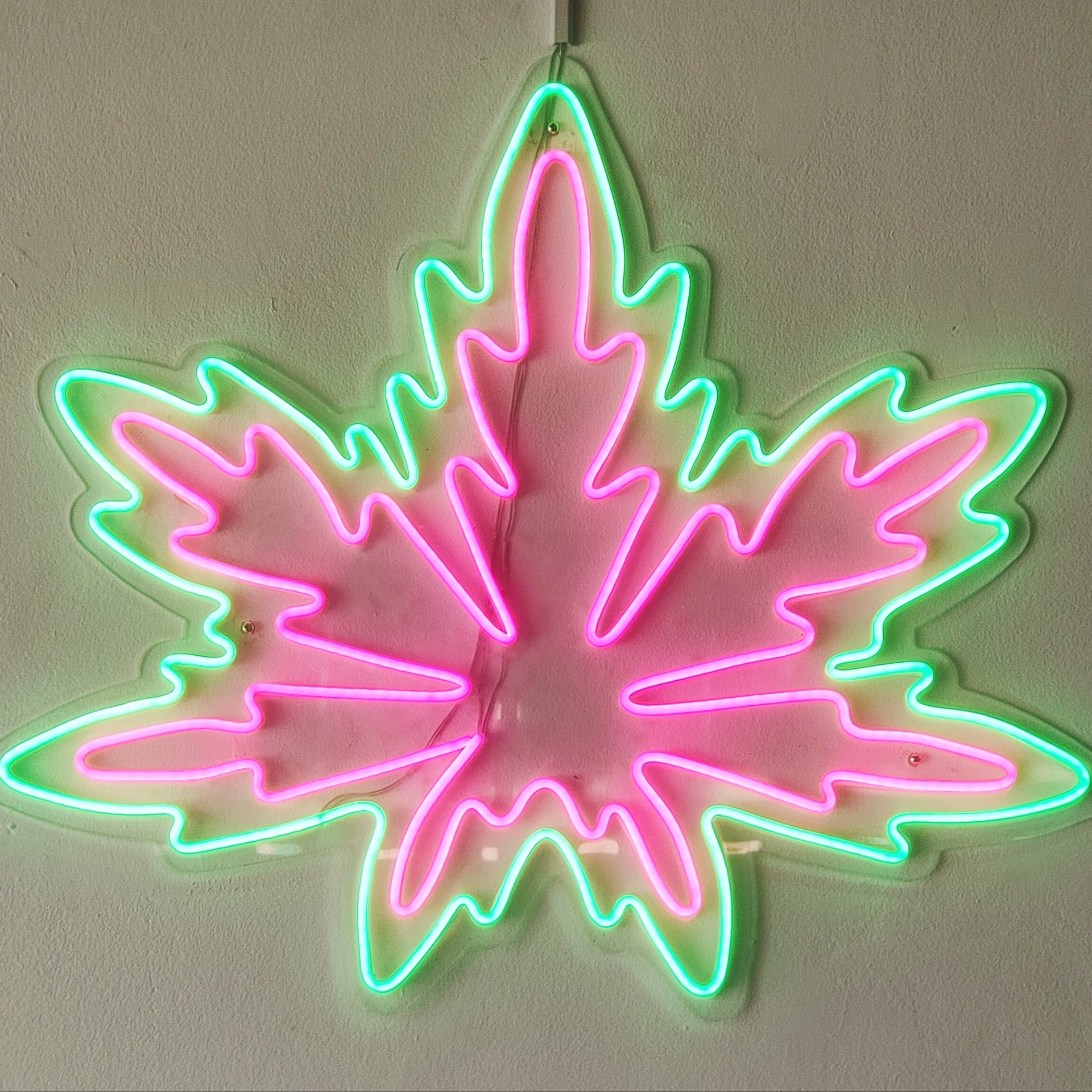 HIGH & ROLL WEED SHOP .