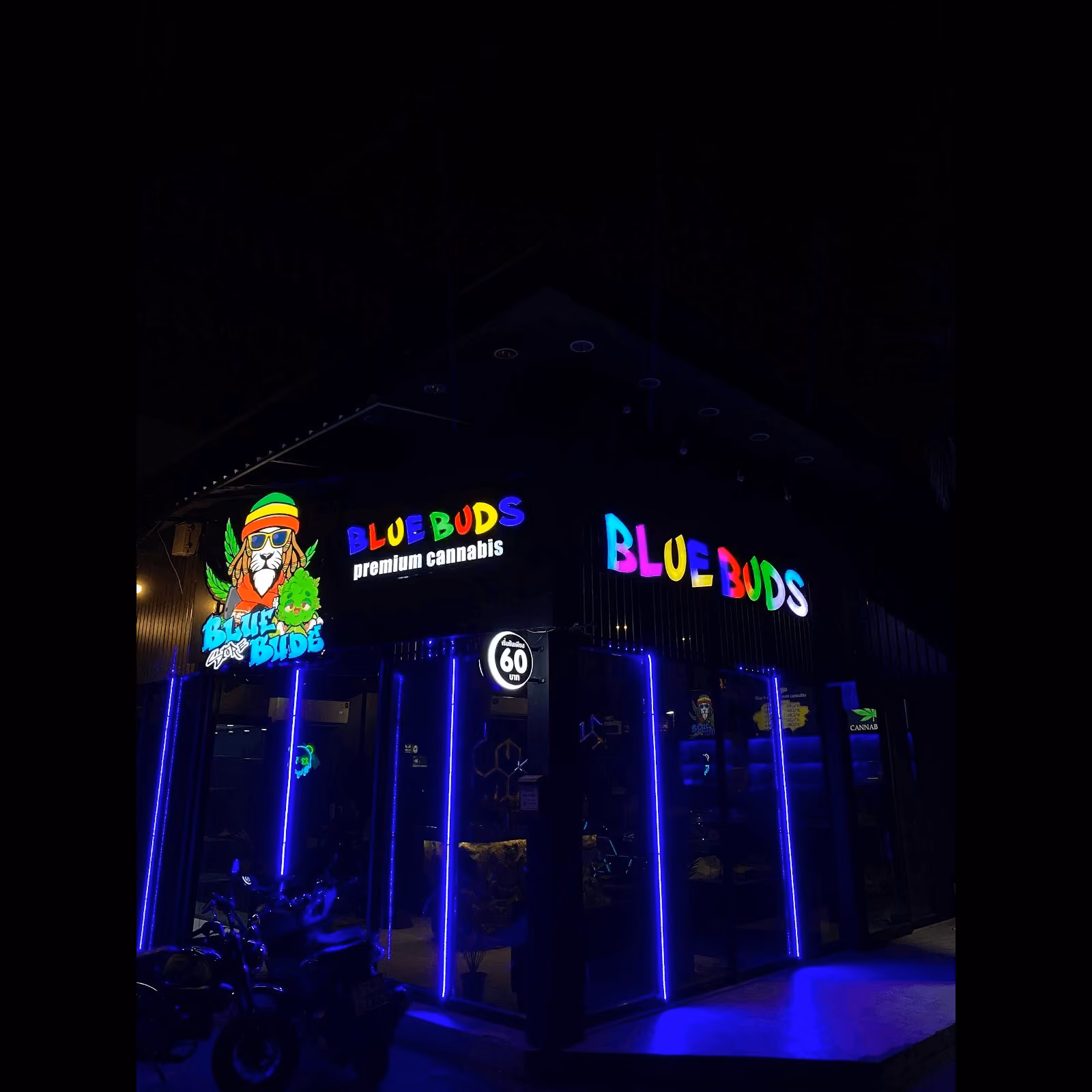 Cannabis Social Club Bluebuds Store2 logótipo