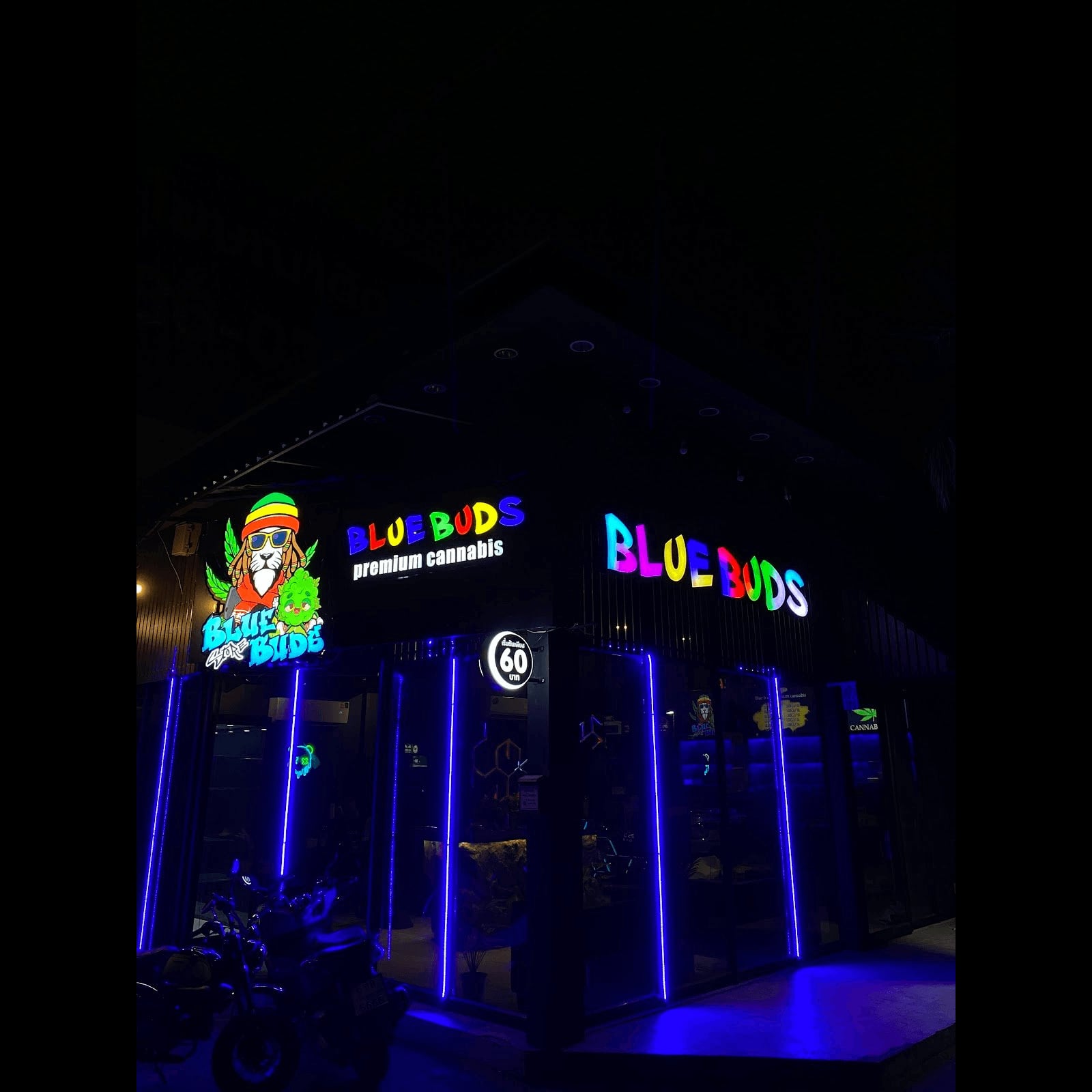Bluebuds Store2 logo