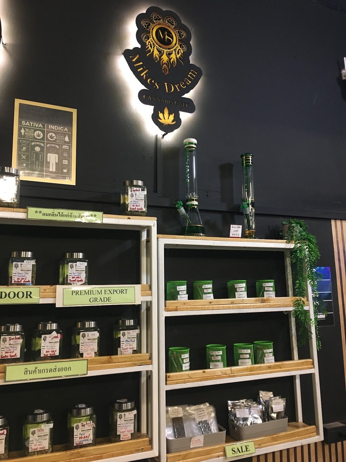 Mike Dream Cannabis Cafe