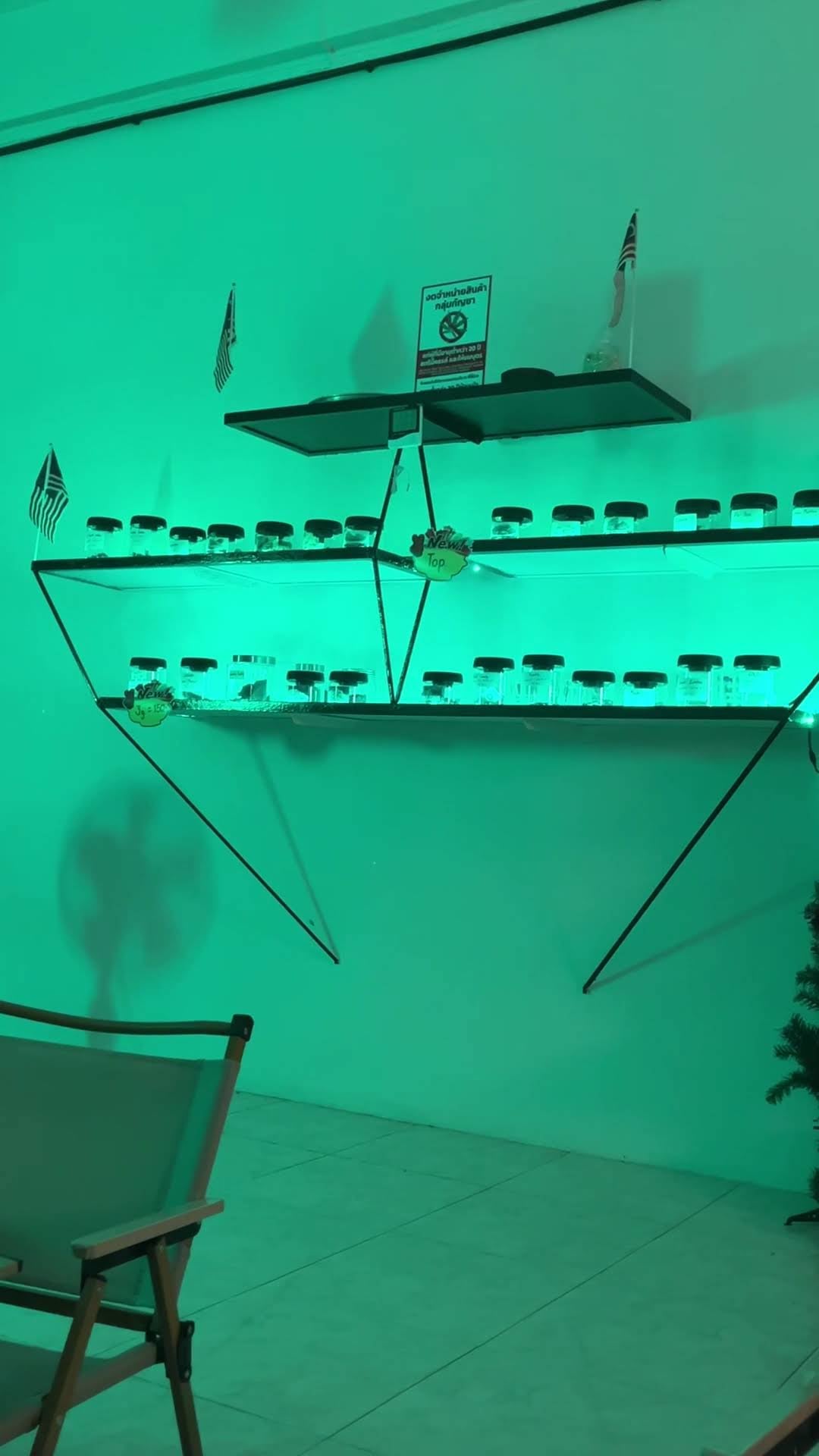 Exotic Cannabis