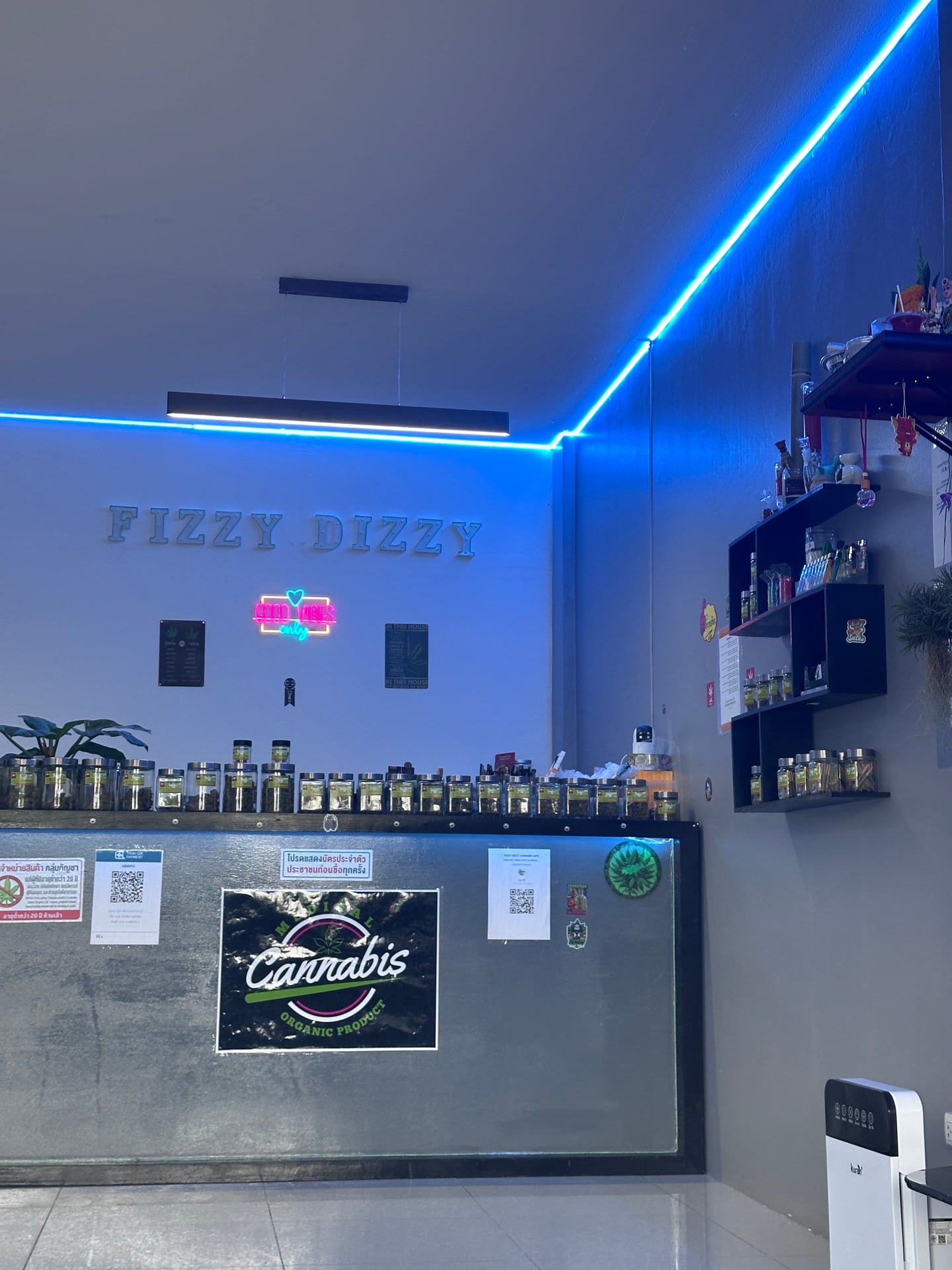 Fizzy Dizzy Cannabis Café