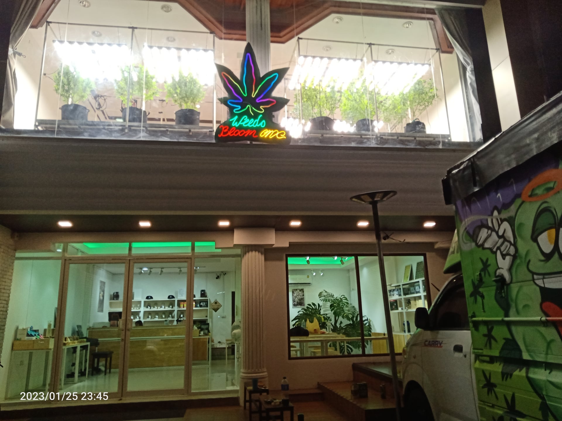 WeeDs Bloom CNX