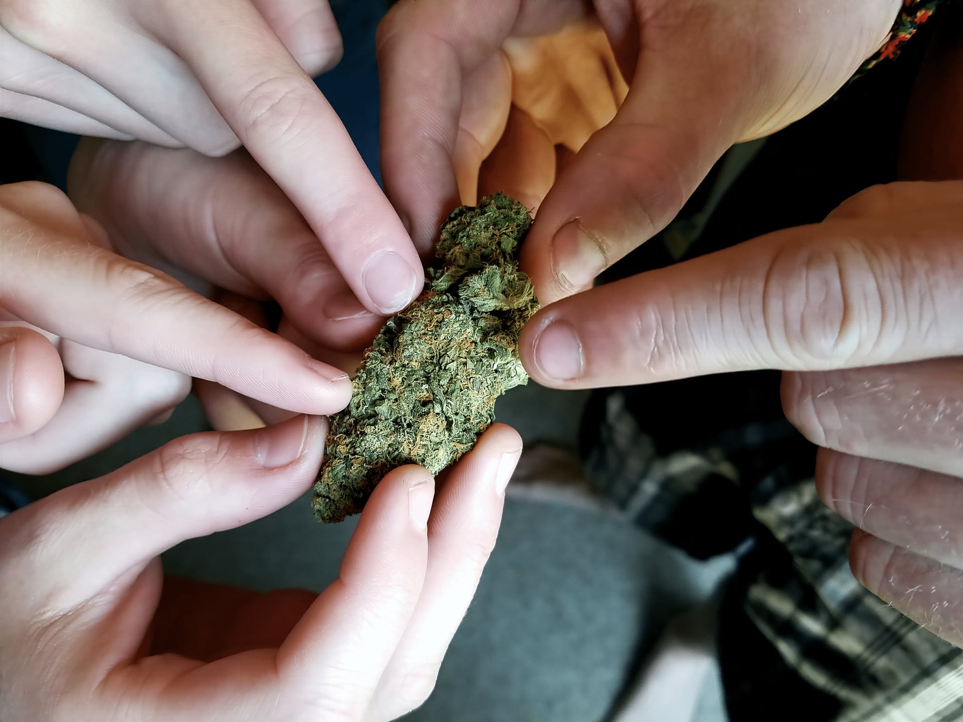 Smoke Society 420