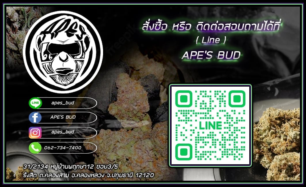 Ape's Bud