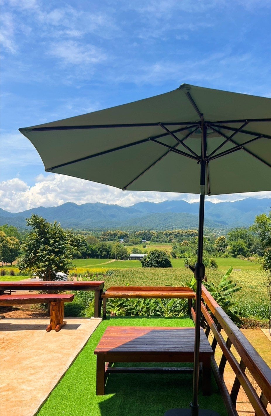 The Green View - Weed Shop And Sunset Viewpoint