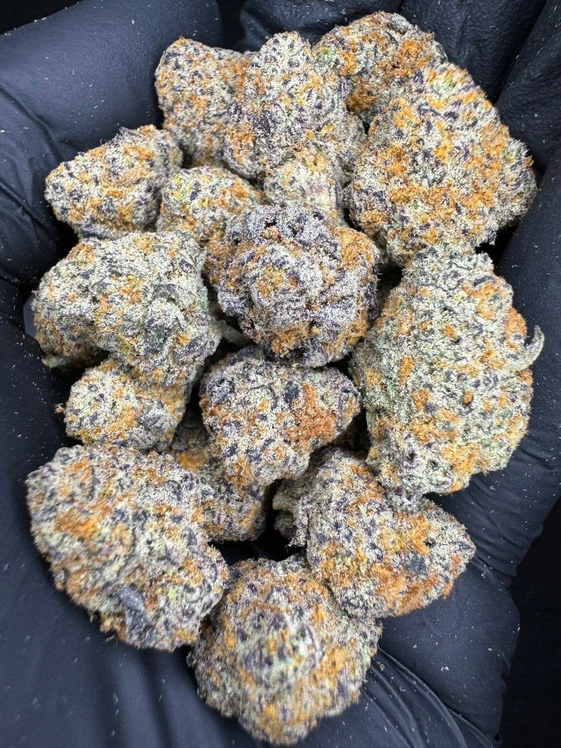 Fulltank Cannabisshop