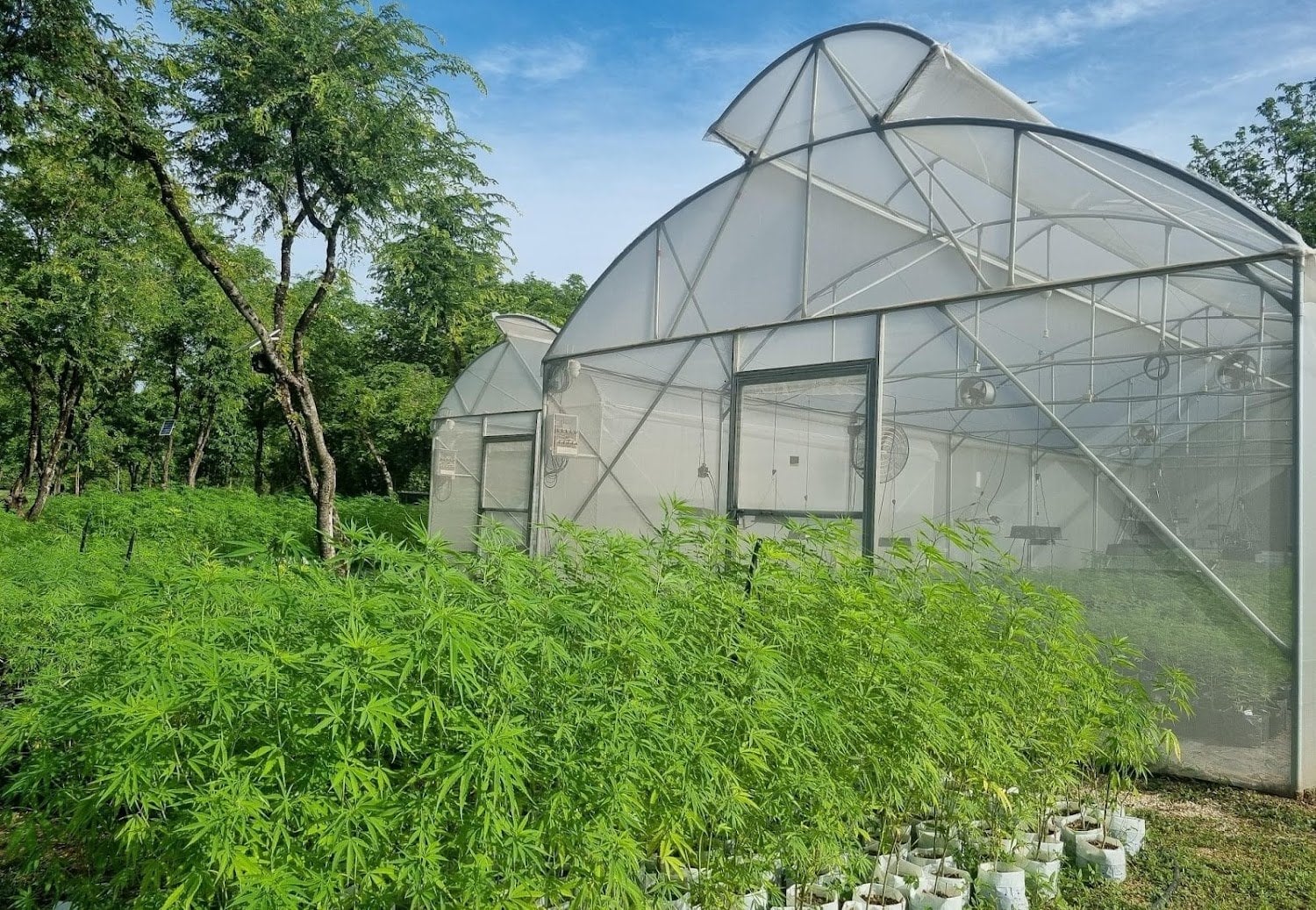 Hemphub Farm