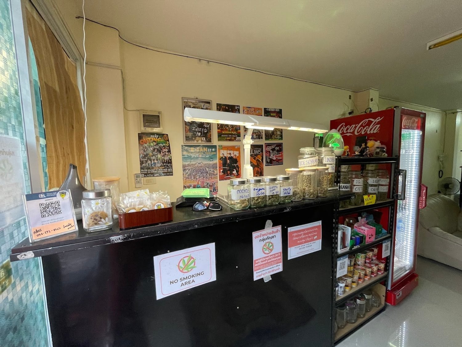 TermsookCannabis30Kanya