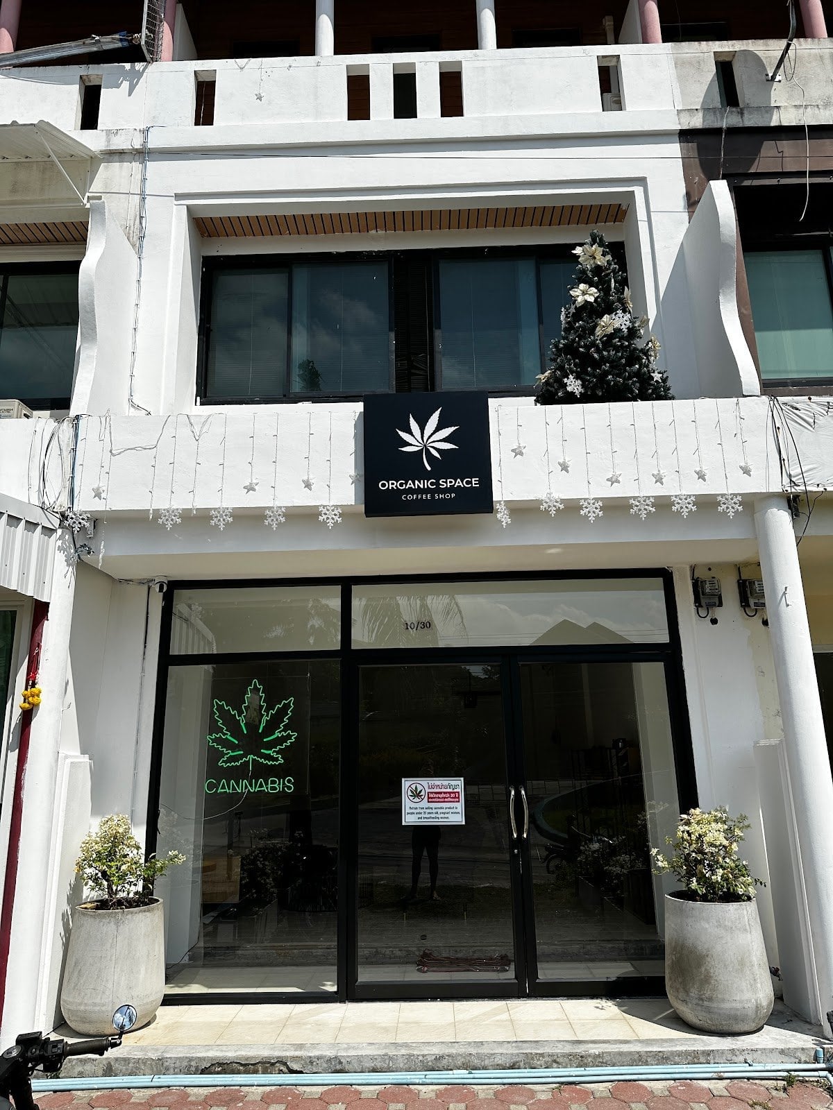 Narcos Samui