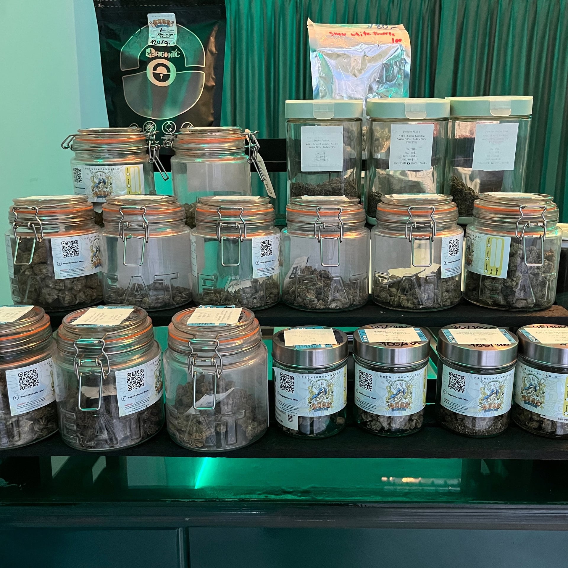 Bugs Cannabis Farm