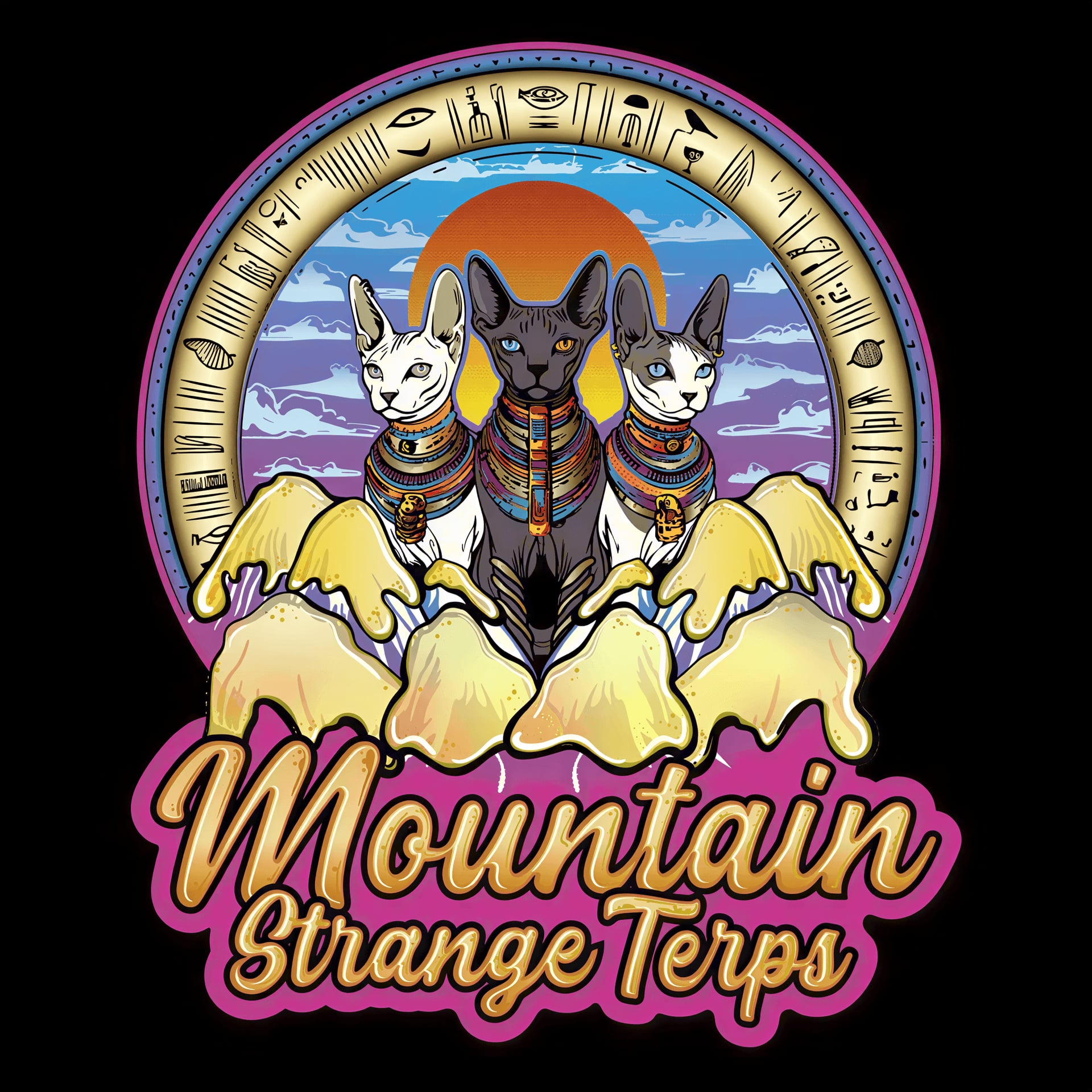 Mountain Strange Terps logo
