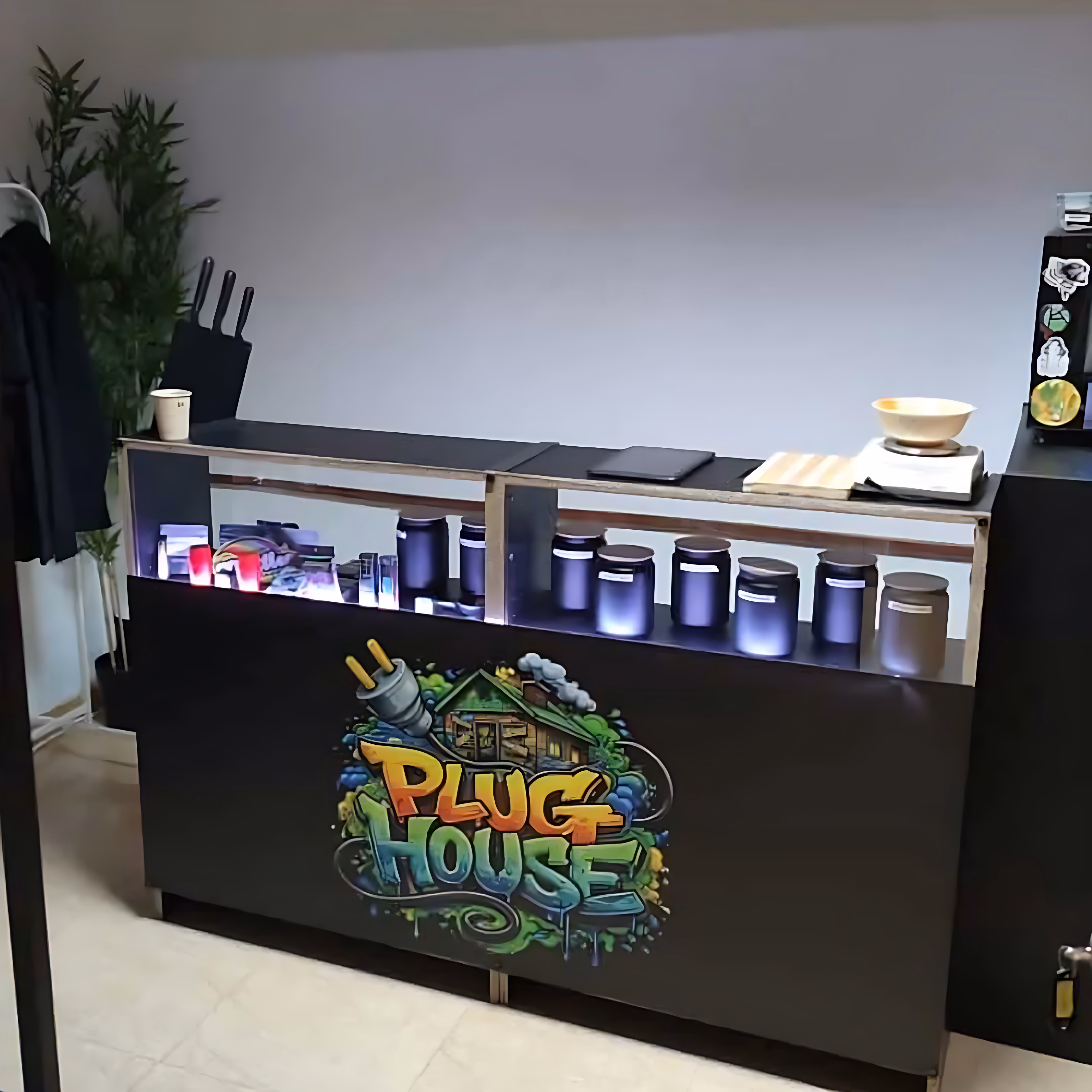 Plug House