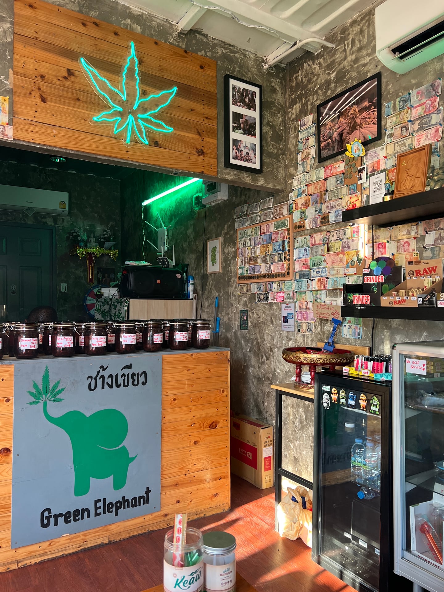 Green Elephant