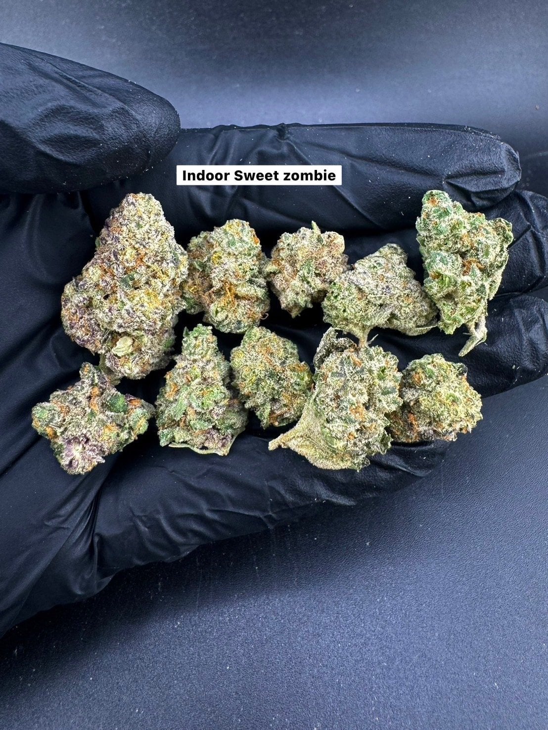 Exoticcnx