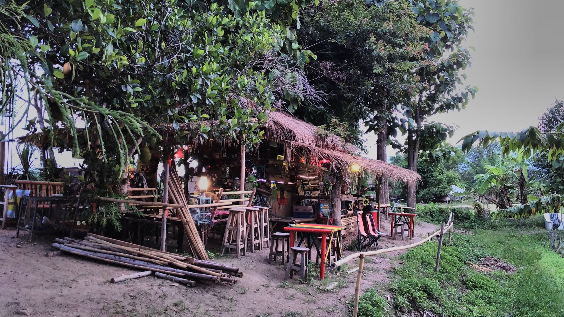 Pai Zion Zone Bar
