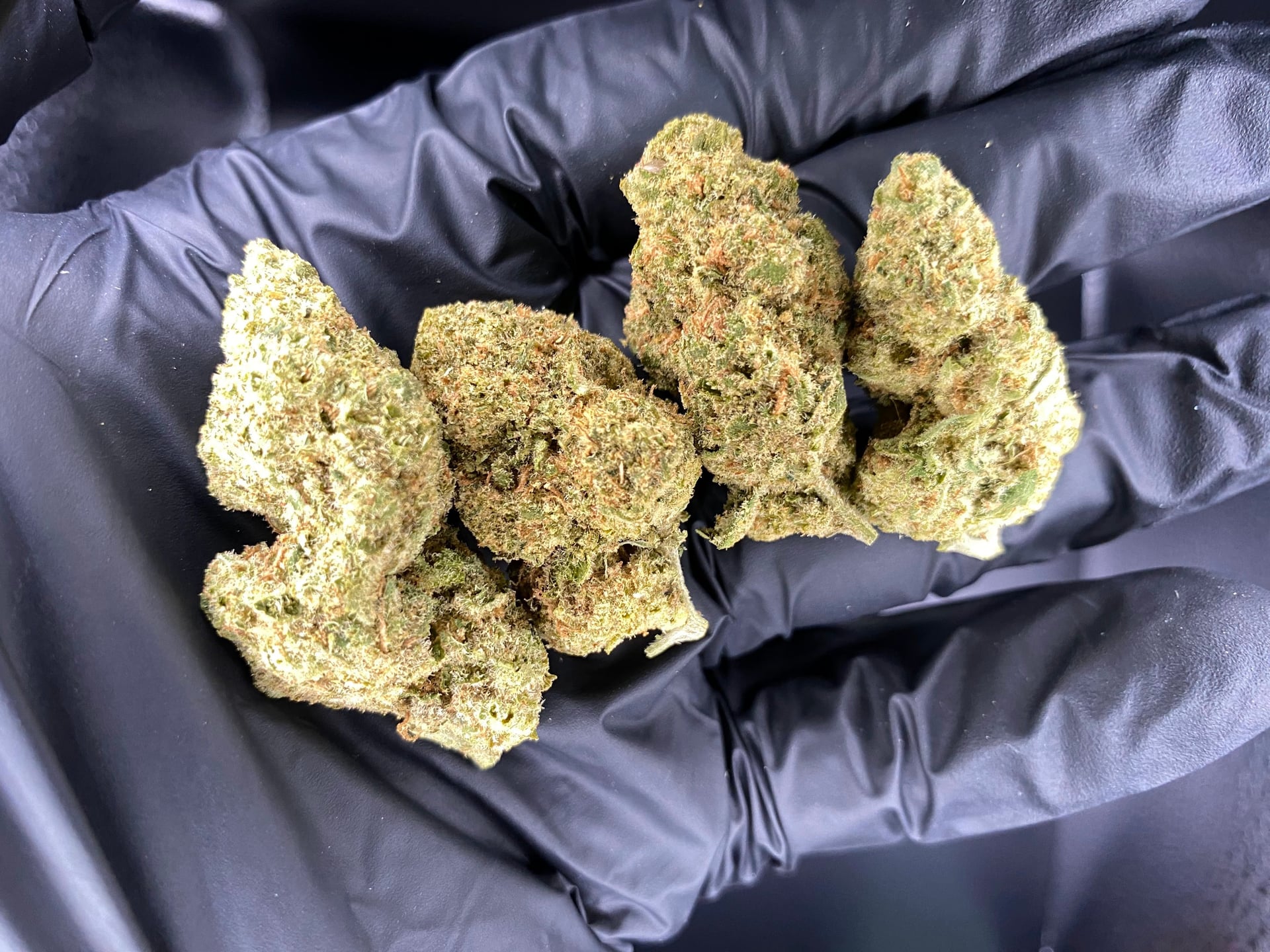 Paradise Land Dispensary Weed & Cannabis