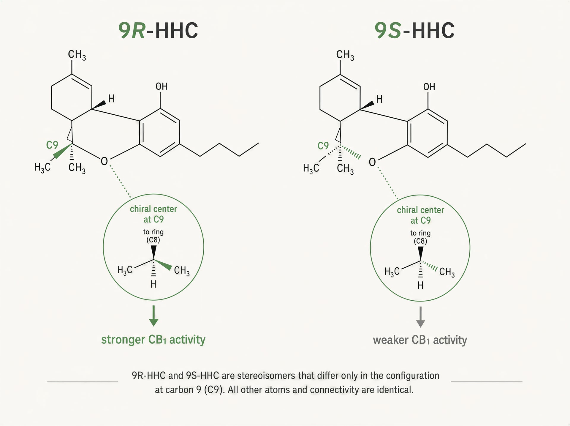 HHC Cannabinoid Útmutató: Hatások, Biztonság és Jogi Helyzet