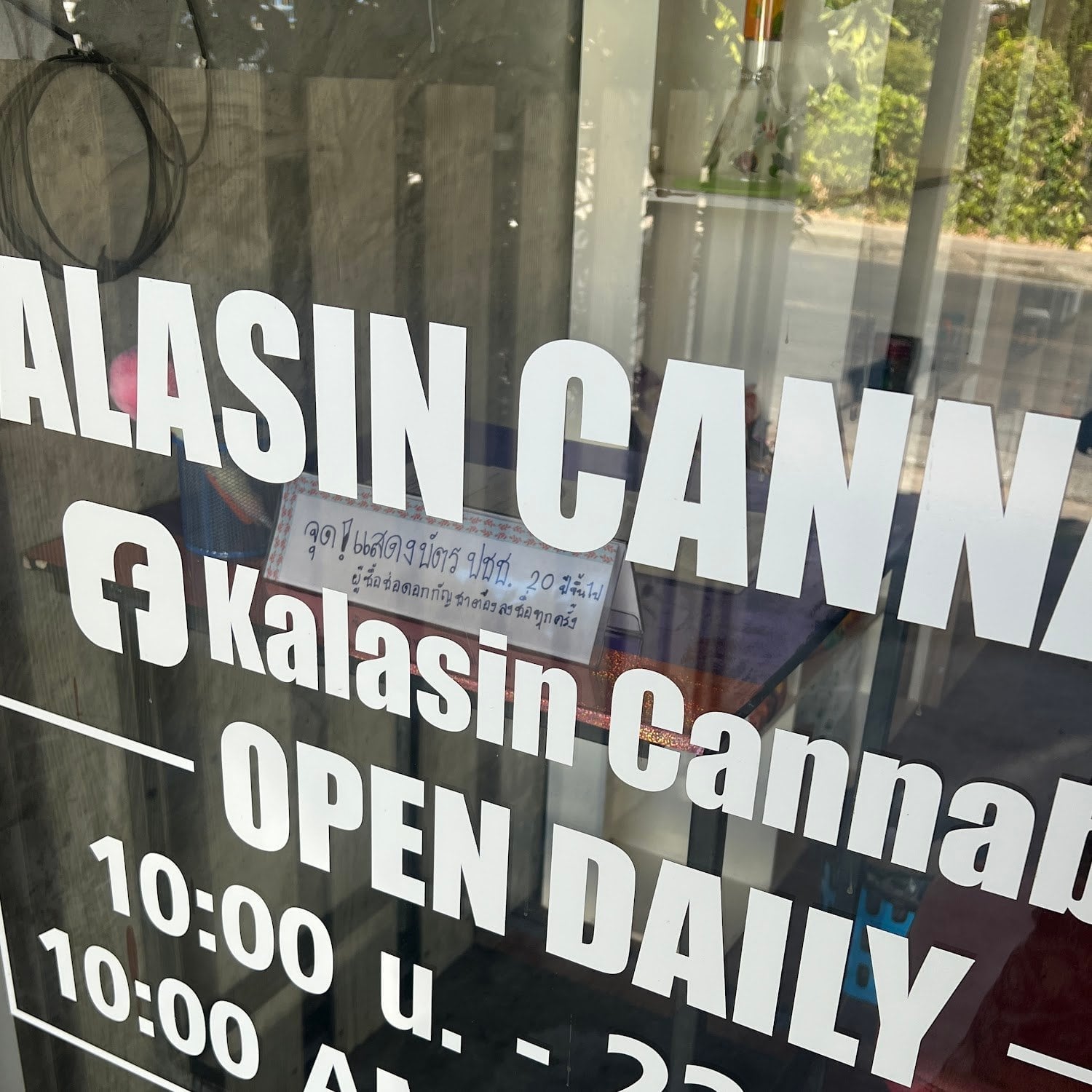 Kalasin Cannabis