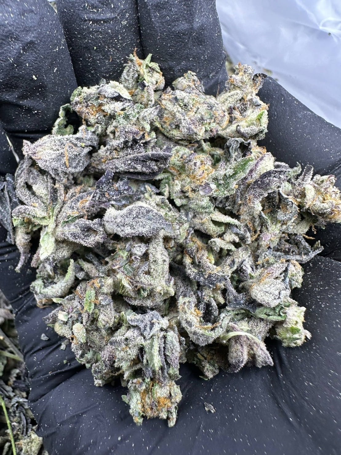 Get Weeds
