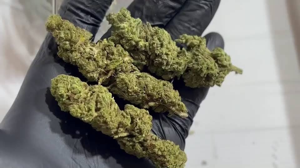 GanJa KlangKrung Wisetchaichan