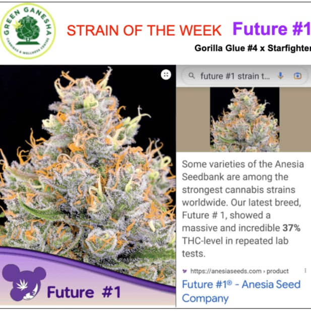 Green Ganesha Cannabis Shop & Wellness Centre