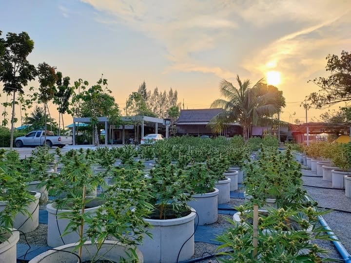 Greenway Globalize