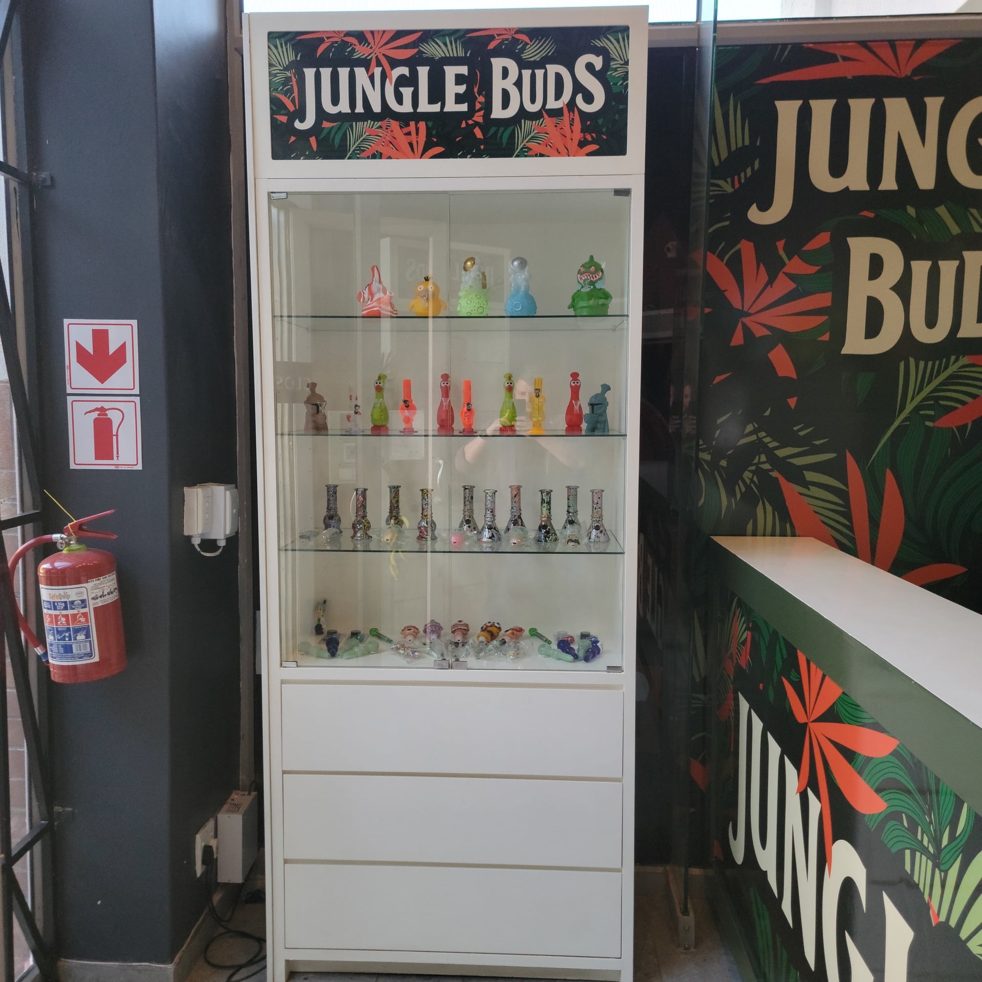 Jungle Buds