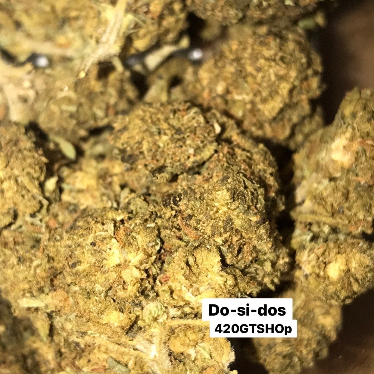 420 Gtshop