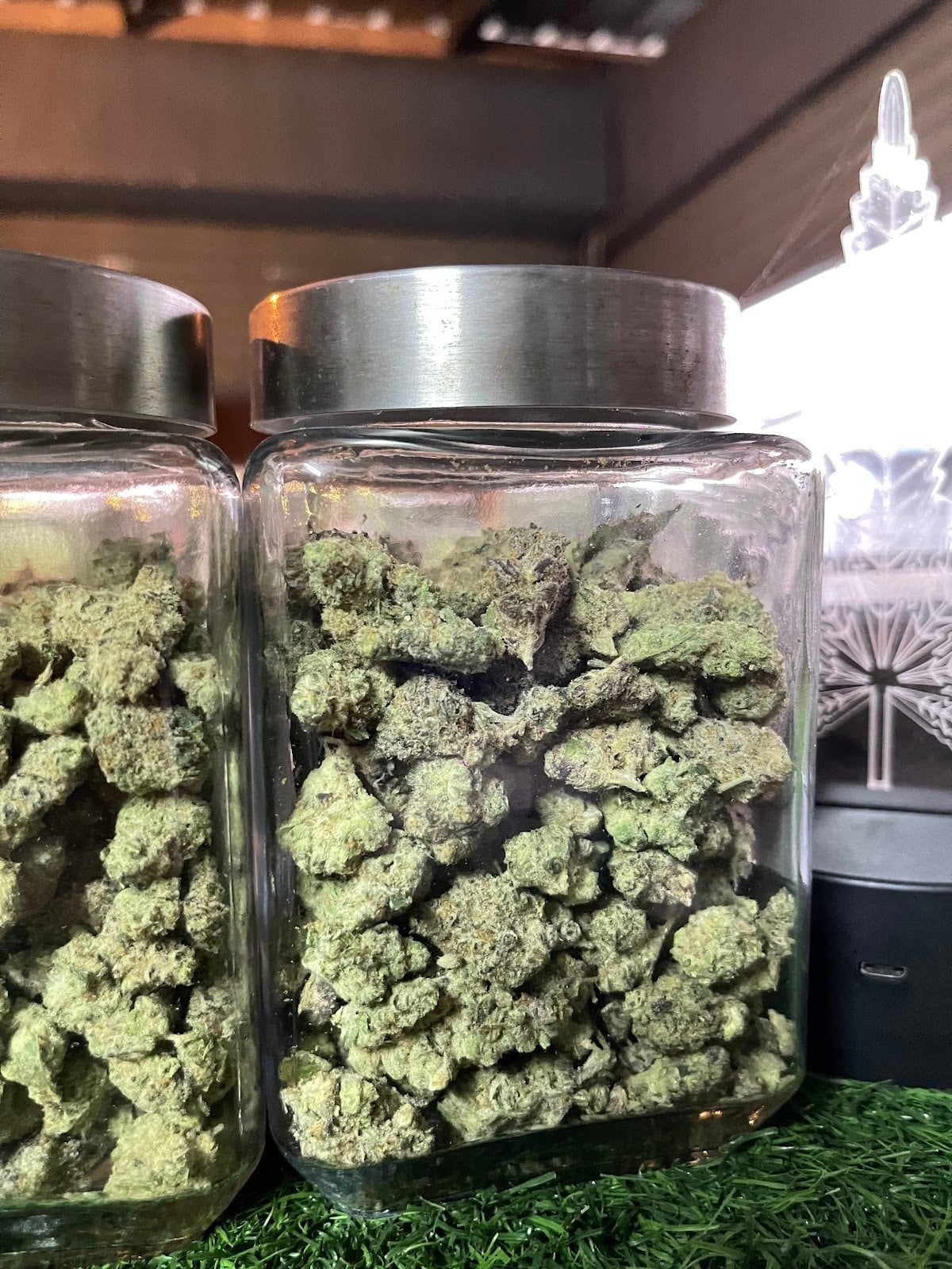 NT Cannabiz