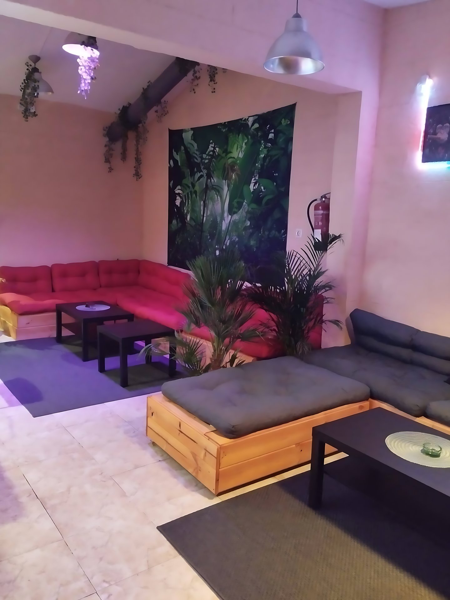 Cali Club