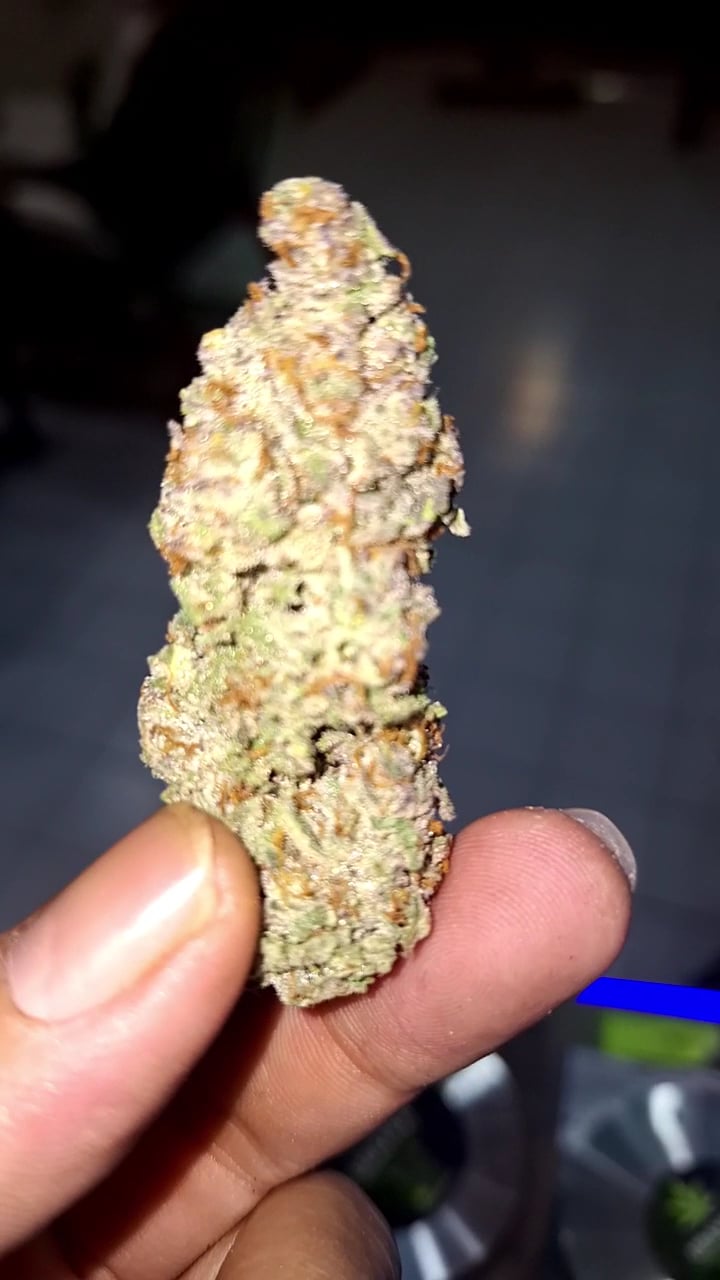 Urayka Weed & Roll