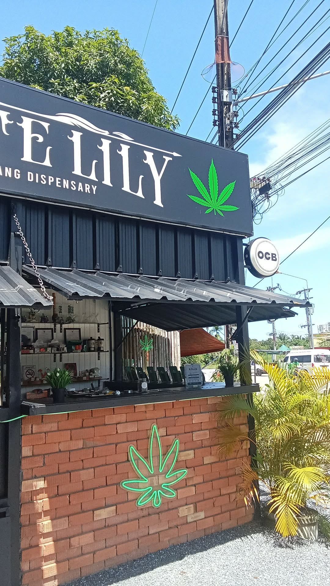 The Hidden Lounge By White Lily Cannabis And