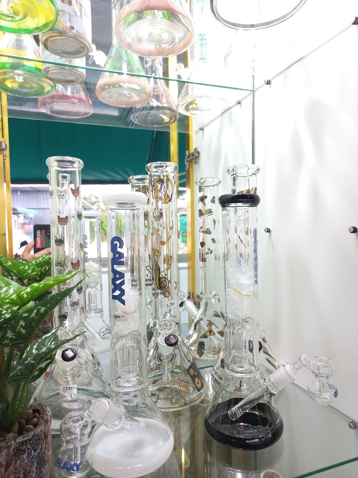 Gan & Gan Green Herb