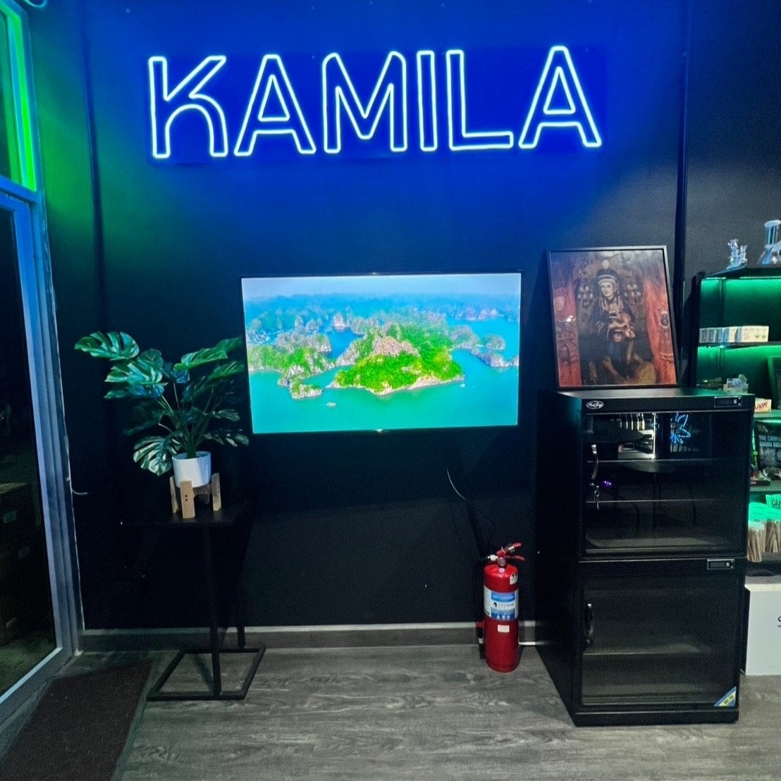 Kamila 1St