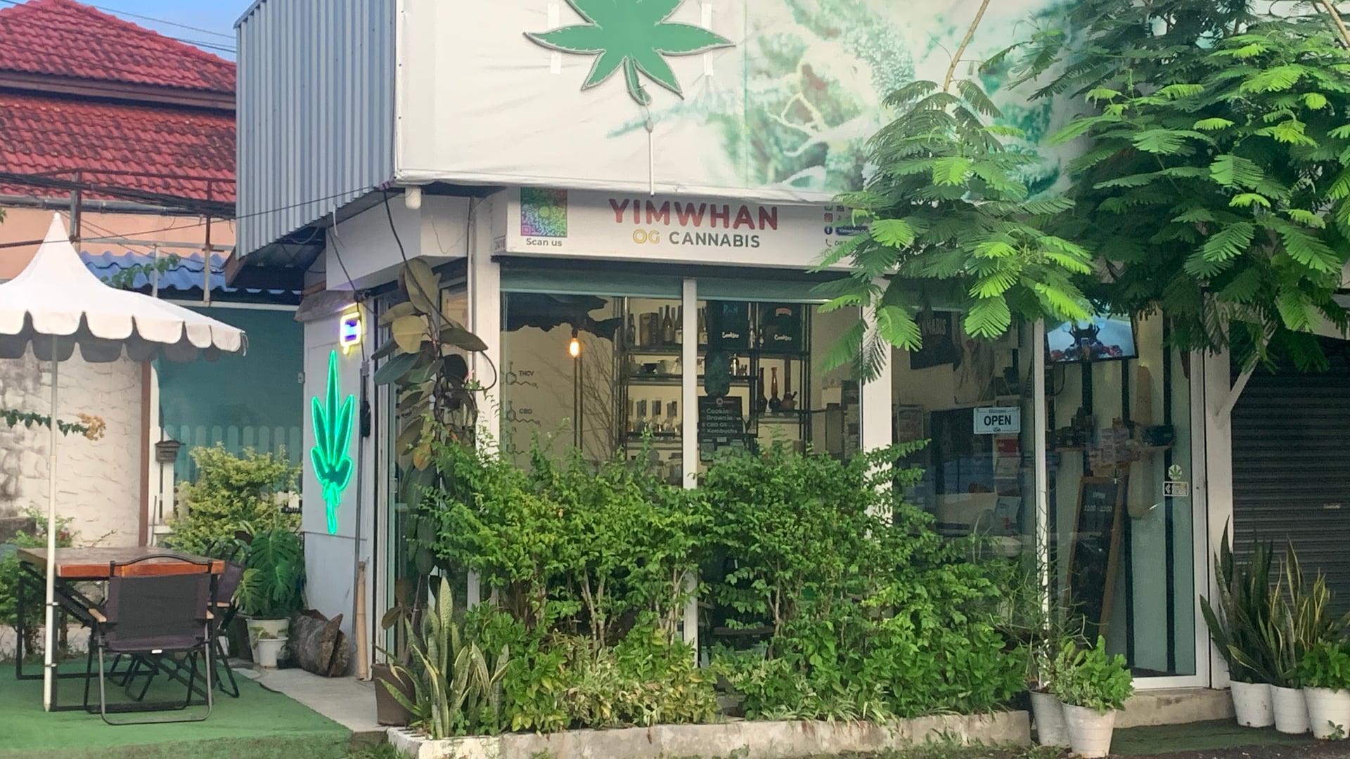 Yimwhan OG Cannabis