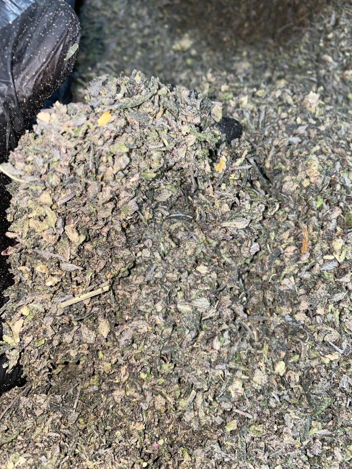 Smoke Weed