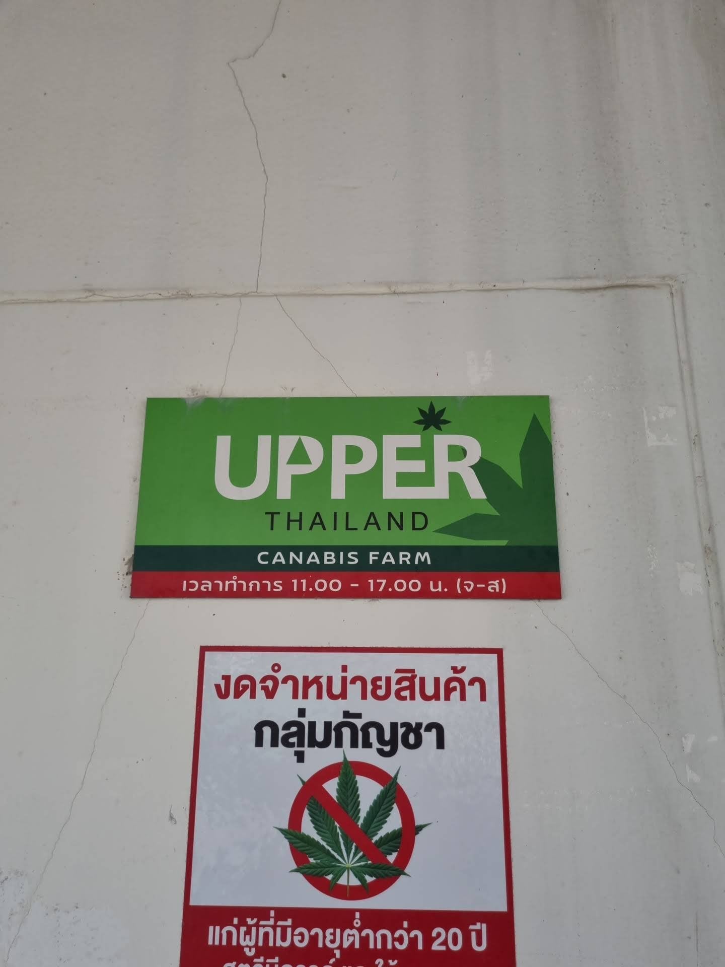 Upper