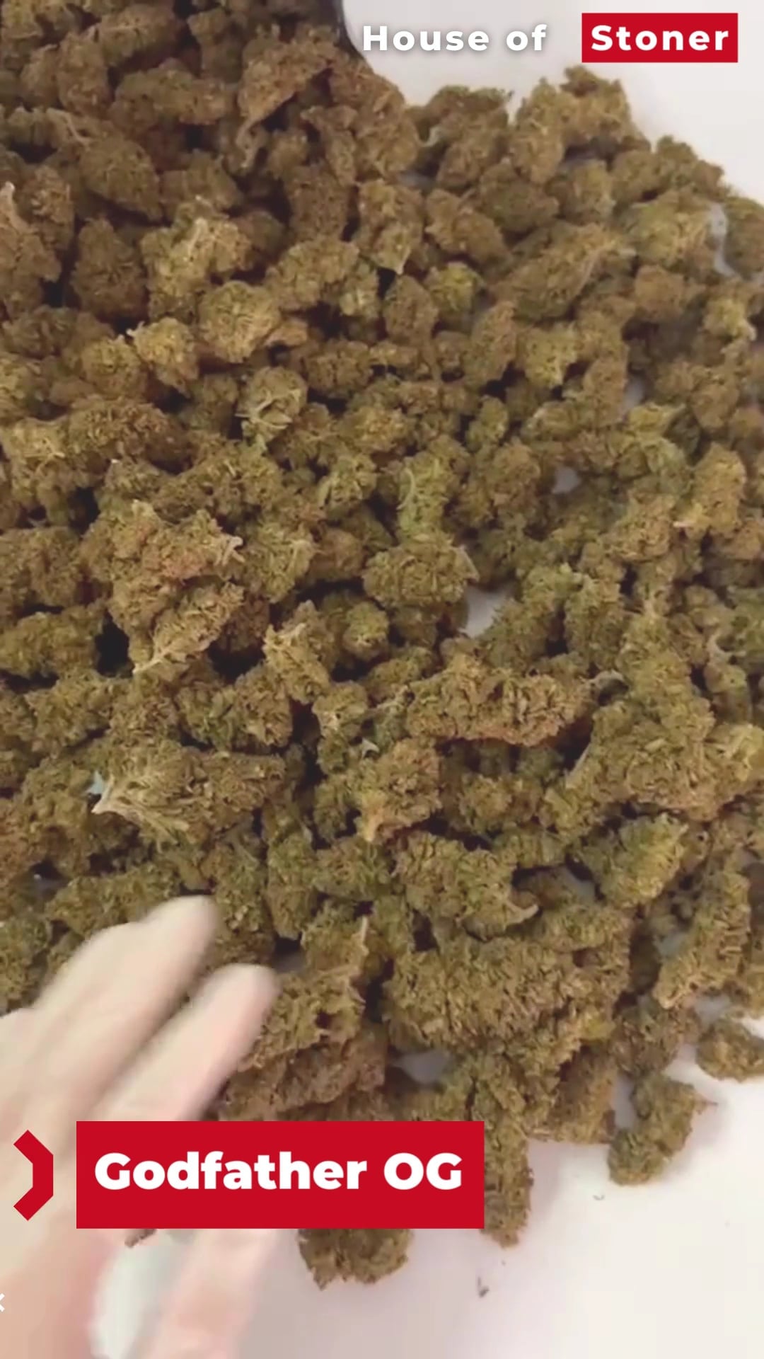 Lords Of Weed