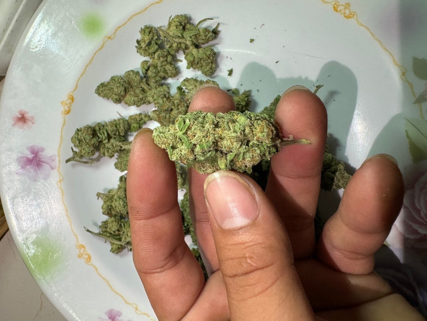 Zenleafshop2