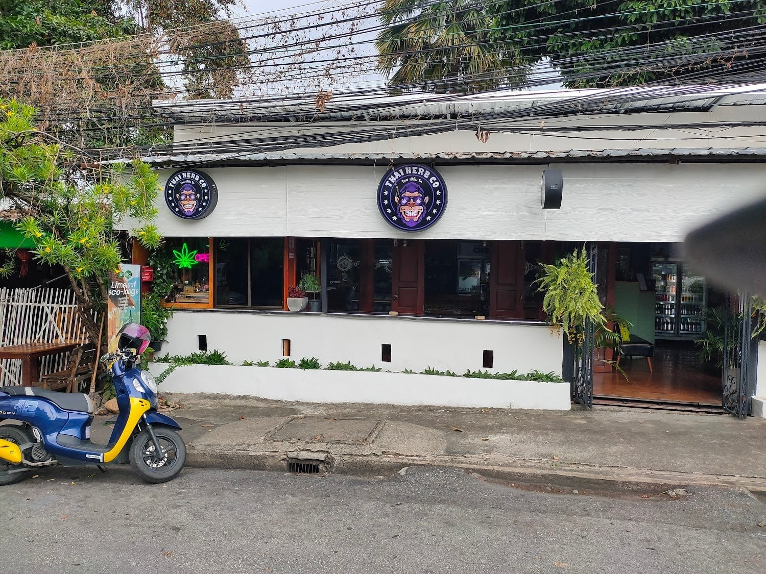 Thai Herb Co