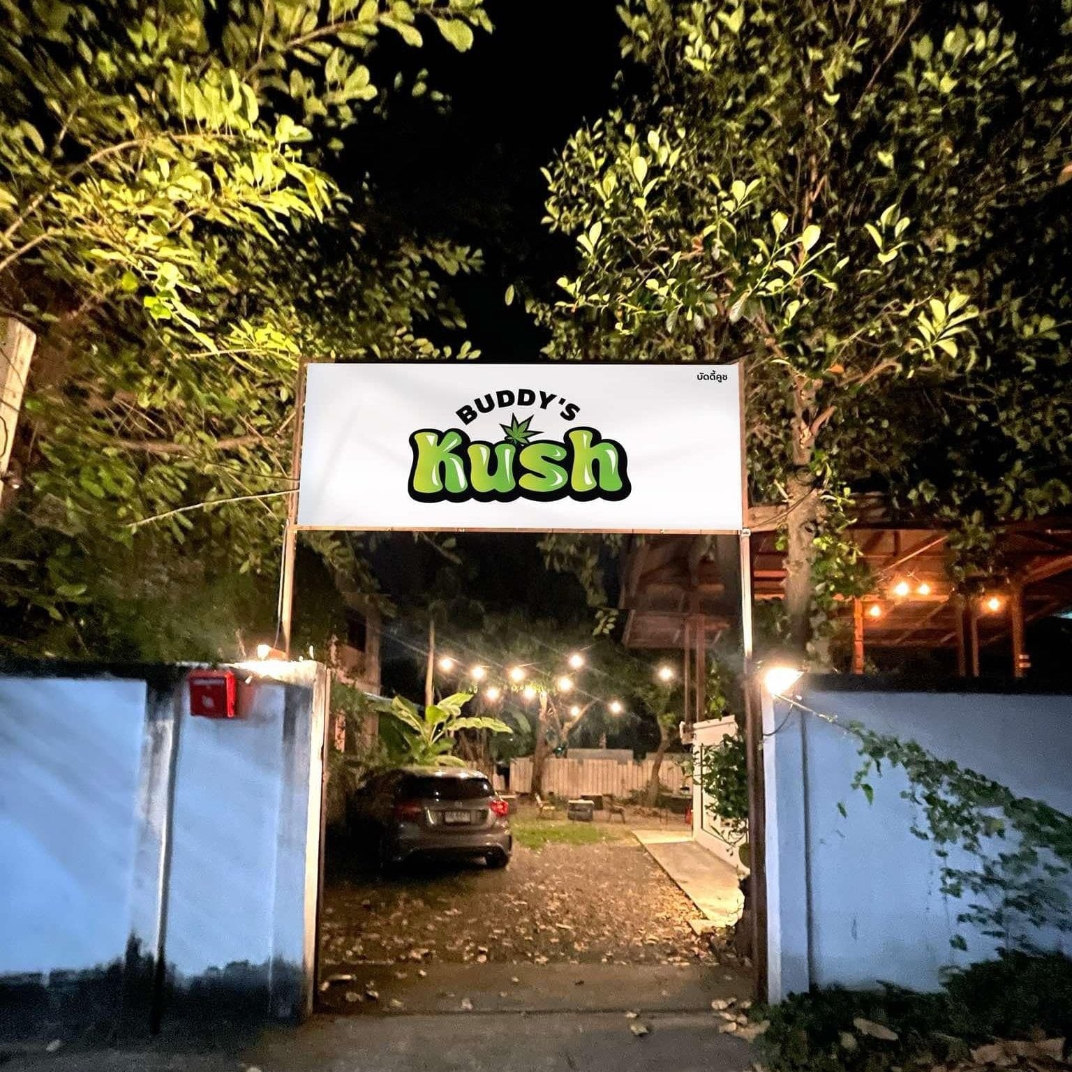 King Cannabis Chiang Mai & Buddy's Kush