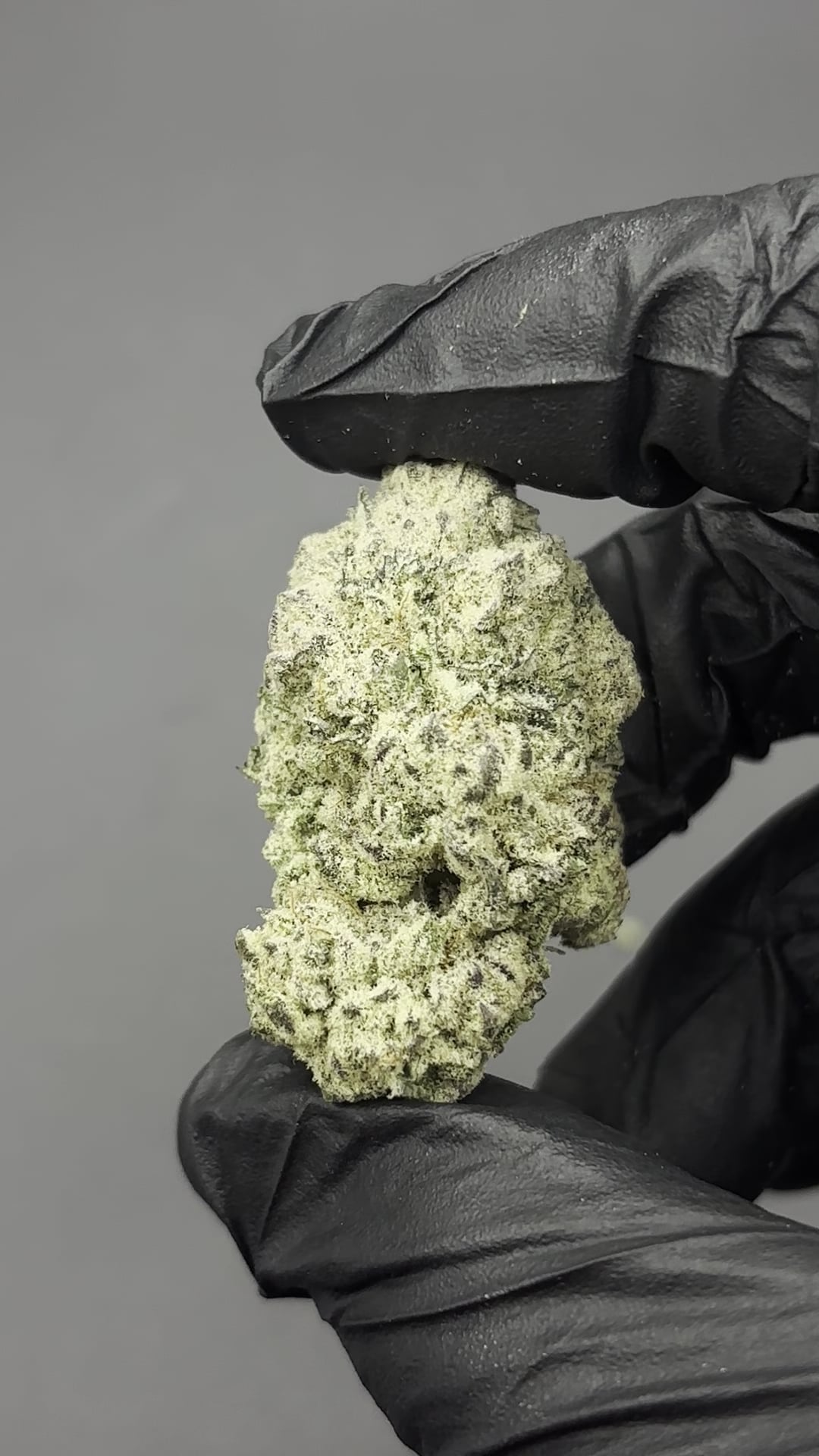 Phatchara OG