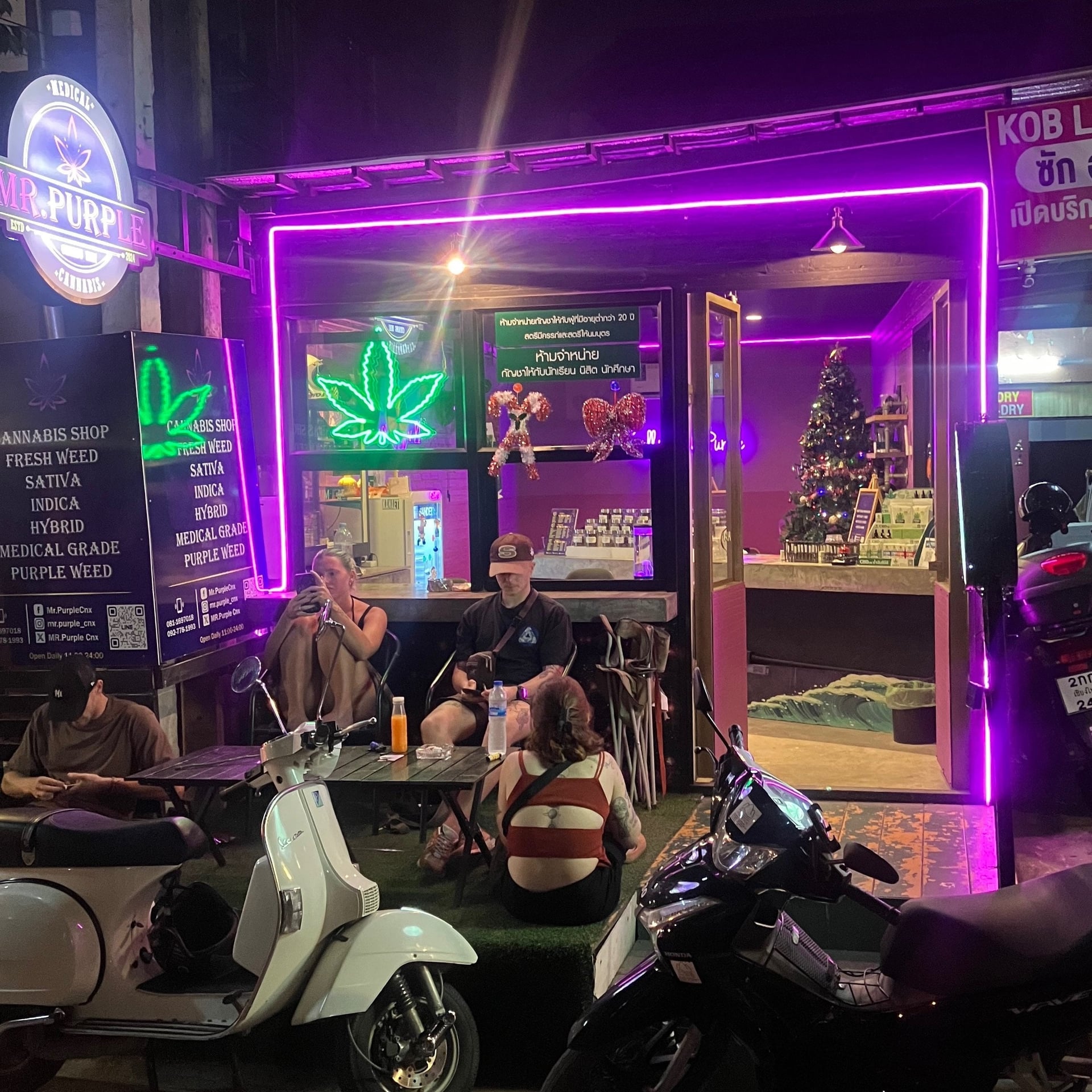 Mr.Purple CNX