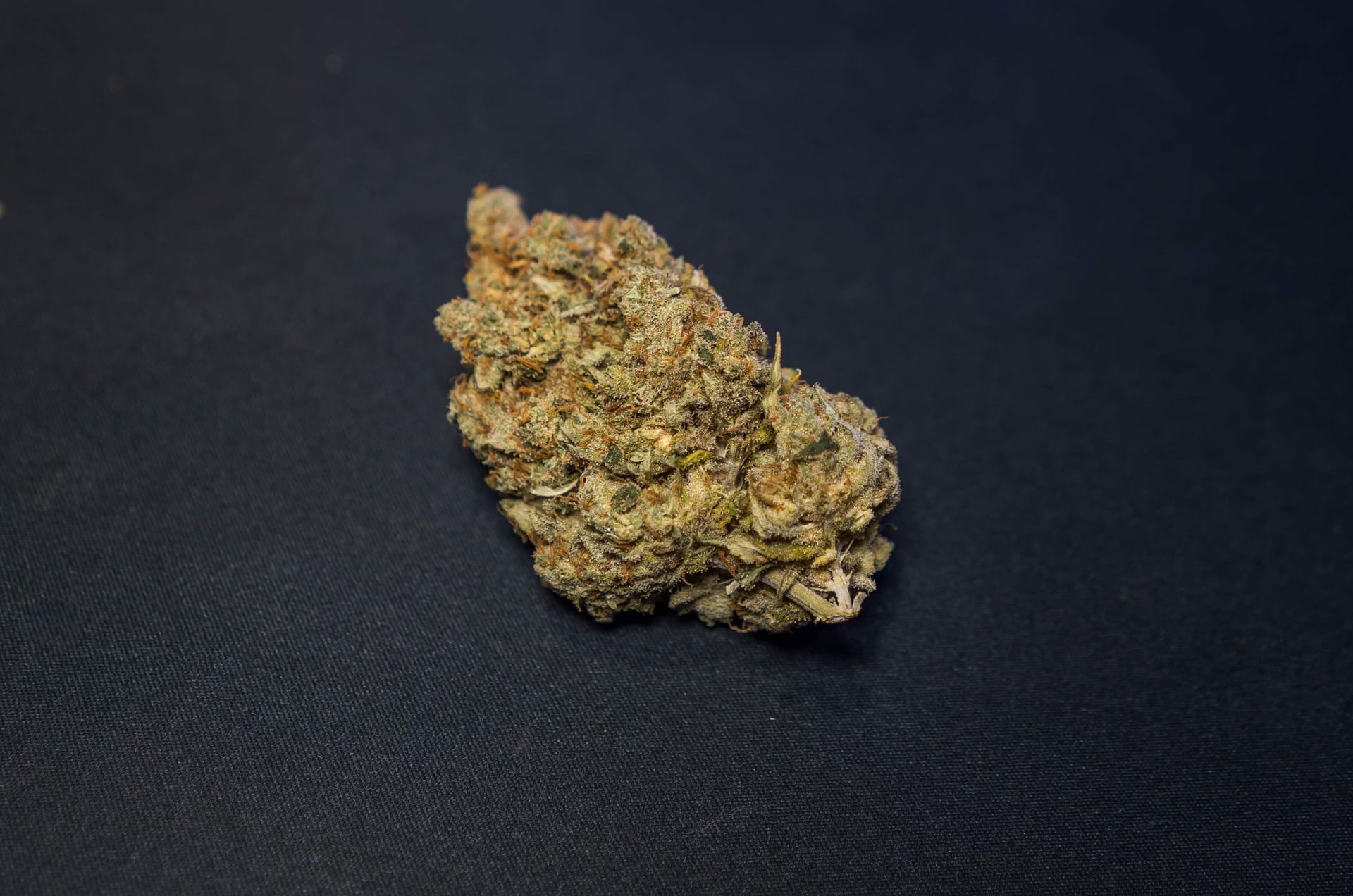 Blow Green Leaf: Premium Cannabis Coffeeshop Patong Phuket THAILANDE