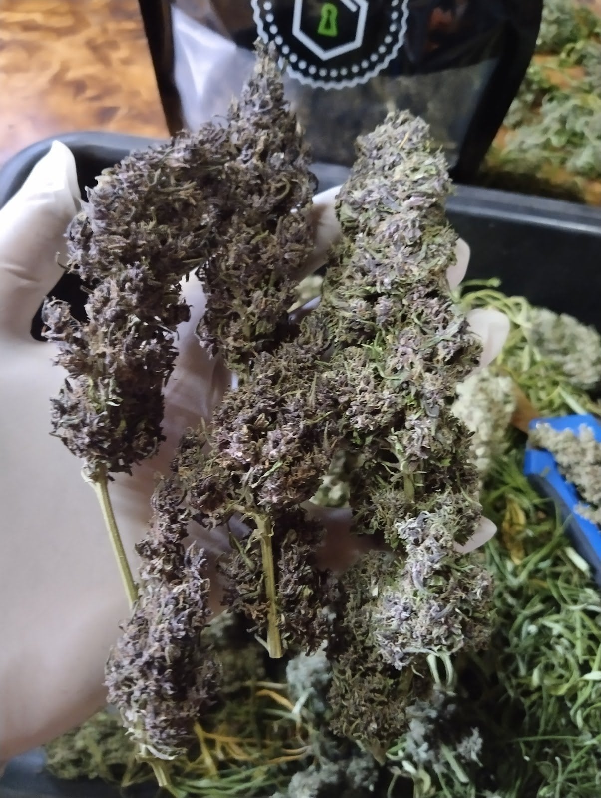 Shop Ganja
