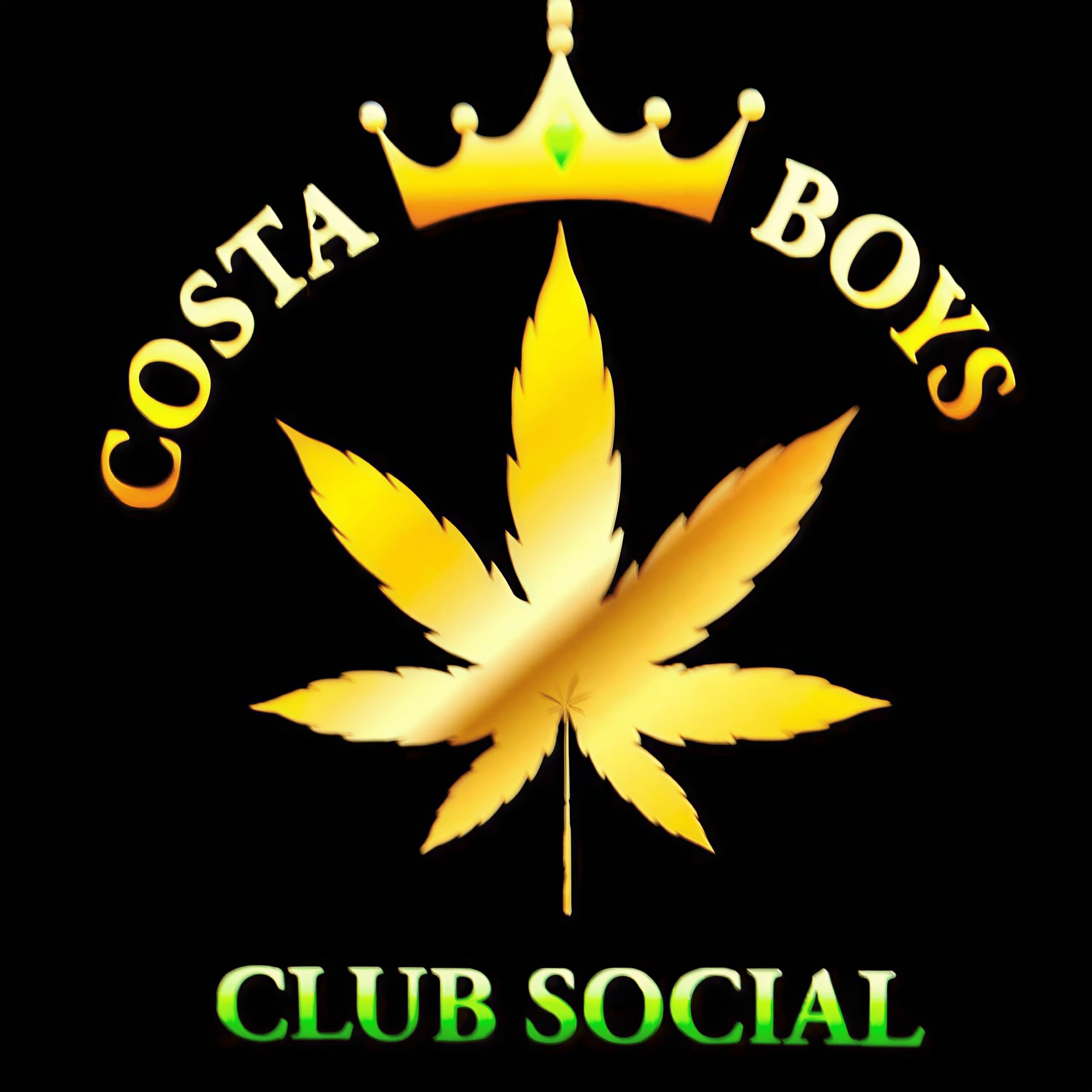 Costa Boys logo